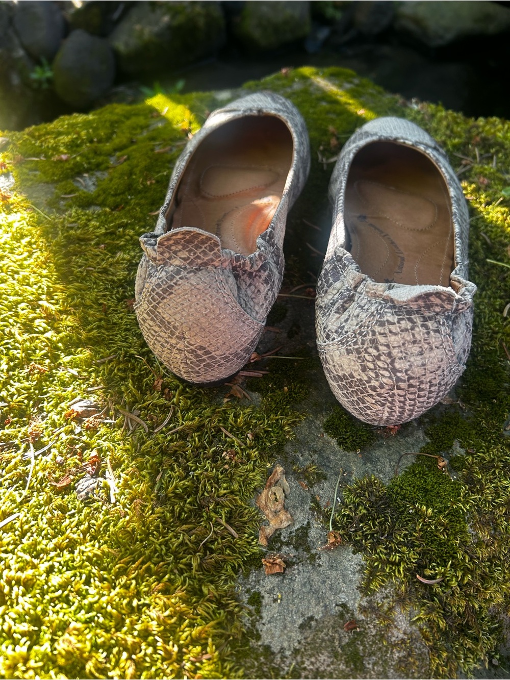 SOFFT - Women's Neutral Snake-Print Ballet Flats - Picture 6 of 7